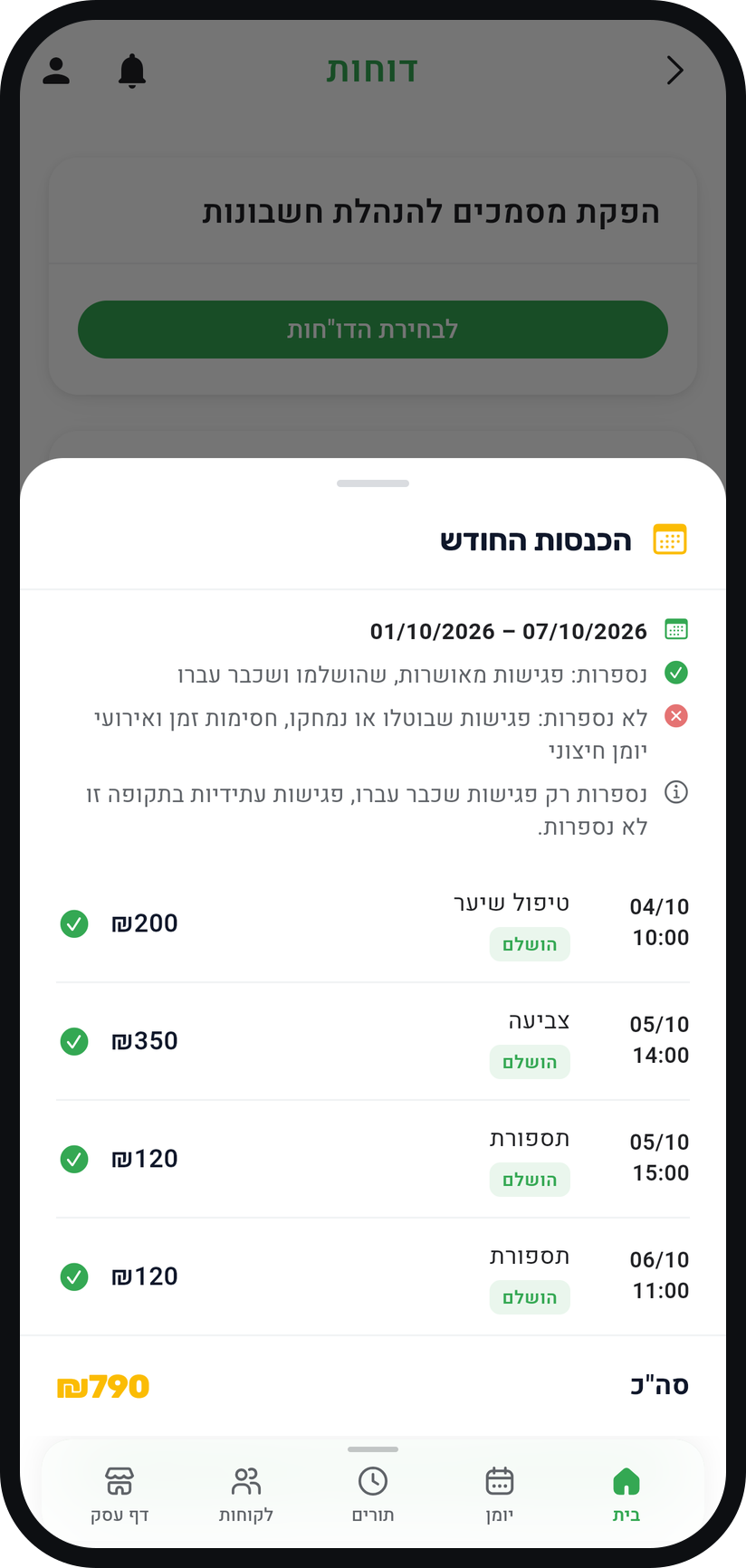 איך מוציאים דוחות - קראו את הסיכום הכספי